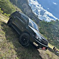 alexander_md17