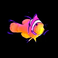 Dont touch the boat nemo