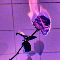 original sound - Love & It's consequence💔