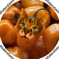 lvl_CLAMS CASINO_ASAP Instrumental