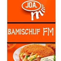 bamischijf_fm