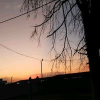 dnxzin_mvx