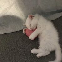 оригинальный звук