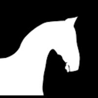 оригинальный звук - BRO