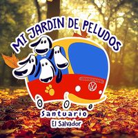 mijardindepeludos.sv