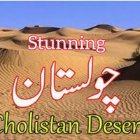 stunning.cholistan09