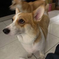 ggykktm