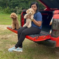 original sound - anitzQ