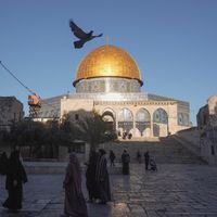 freegaza_fromisrehell