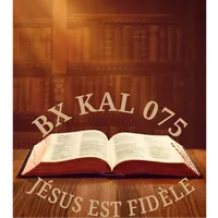 original sound - bxkal075