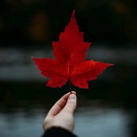 suara asli - Ran 🍁