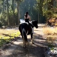 sianna.horse_love