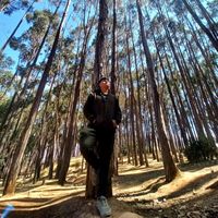 sonido original