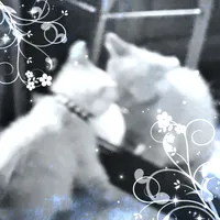 BRO TYSM FOR USING MY SOUND