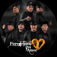 copiapo_fans_peregrinos