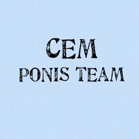 cem_ponis_team