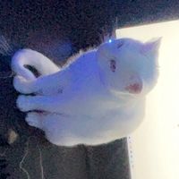 cod_gtag_god74
