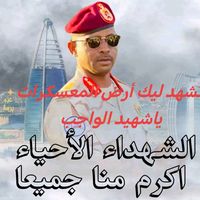 user12175629919294