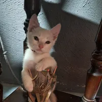 original sound - 90clase10