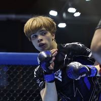 оригинальный звук