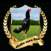 studioourofino
