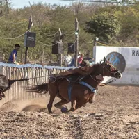 original sound - antoniodeholanda4