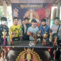 user9lb29di1kx