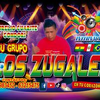 zugales137