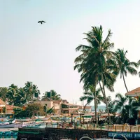 original sound - user4533651578451