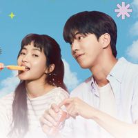 sfsunflower___