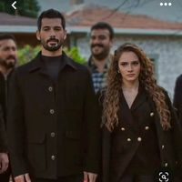 halzey.arg