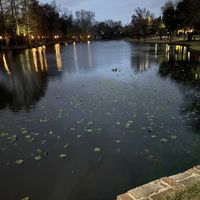 jittlitoogit_futtlatang