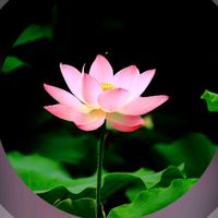 เสียงต้นฉบับ - ยูทูป-Music Tai Lue