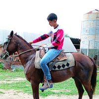 sonido original