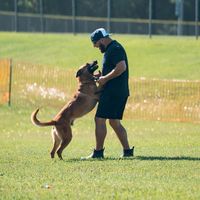 bbtrainingranch