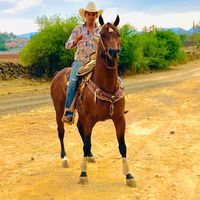 baltatinoco