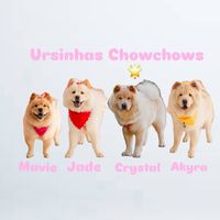 ursinhaschowchows