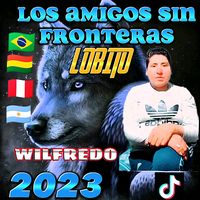 wilfredomamani022