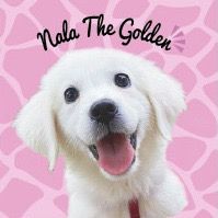 nala_.the.golden