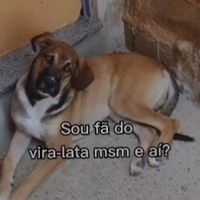 cidade_fanfic