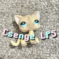 csenge_lps