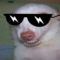 doguinhos1000grau