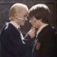 drarry_shipe