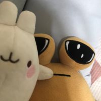 molang_pelcuhe