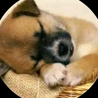 original sound - sakesh044