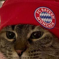 bayern__9