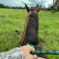 original sound - jesus_montilla07