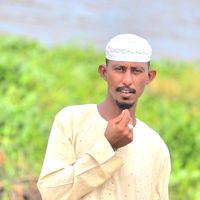 الصوت الأصلي