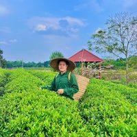 nhạc nền - An Hải Trà