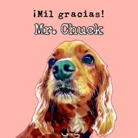 mr.chucktags